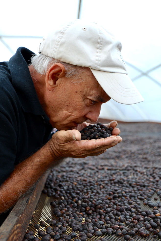 Alfredo Diaz: Mastering Coffee's Artistry with Precision and Passion.